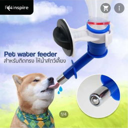 本周五采洽會來襲，泰國寵物衣架訂單引爆商機